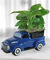 Denver, Colorado Florist Features Special Gifts for Dad