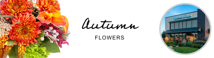 Fall Flowers
