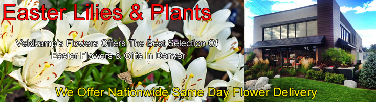 Easter Baskets, Plants & Gifts