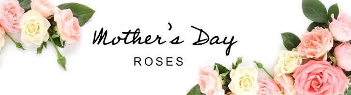 Mother's Day Roses