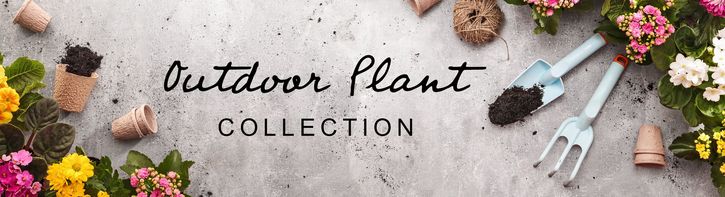 Outdoor Plants & Gifts