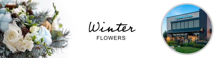 Winter Flowers