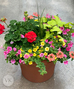 Mother's Day Outdoor Plants & Gifts