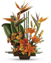 Exotic Grace Bouquet: Tropical Bouquet - Veldkamp's Flowers