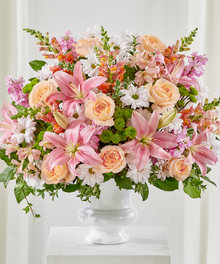 Pastel Multicolored Sympathy Collection