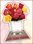 Lucky Stems®